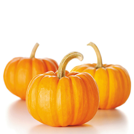 产品中心标题六